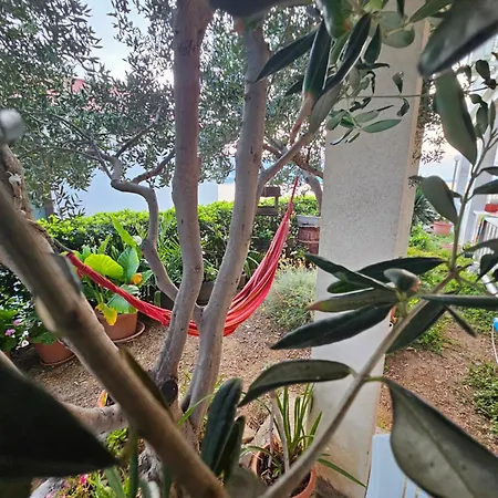 Bellavista Bed And Breakfast-3